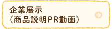 企業展示（商品説明PR動画）